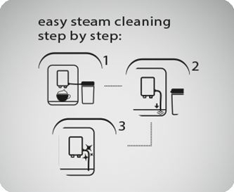 Easy Steam Cleaning